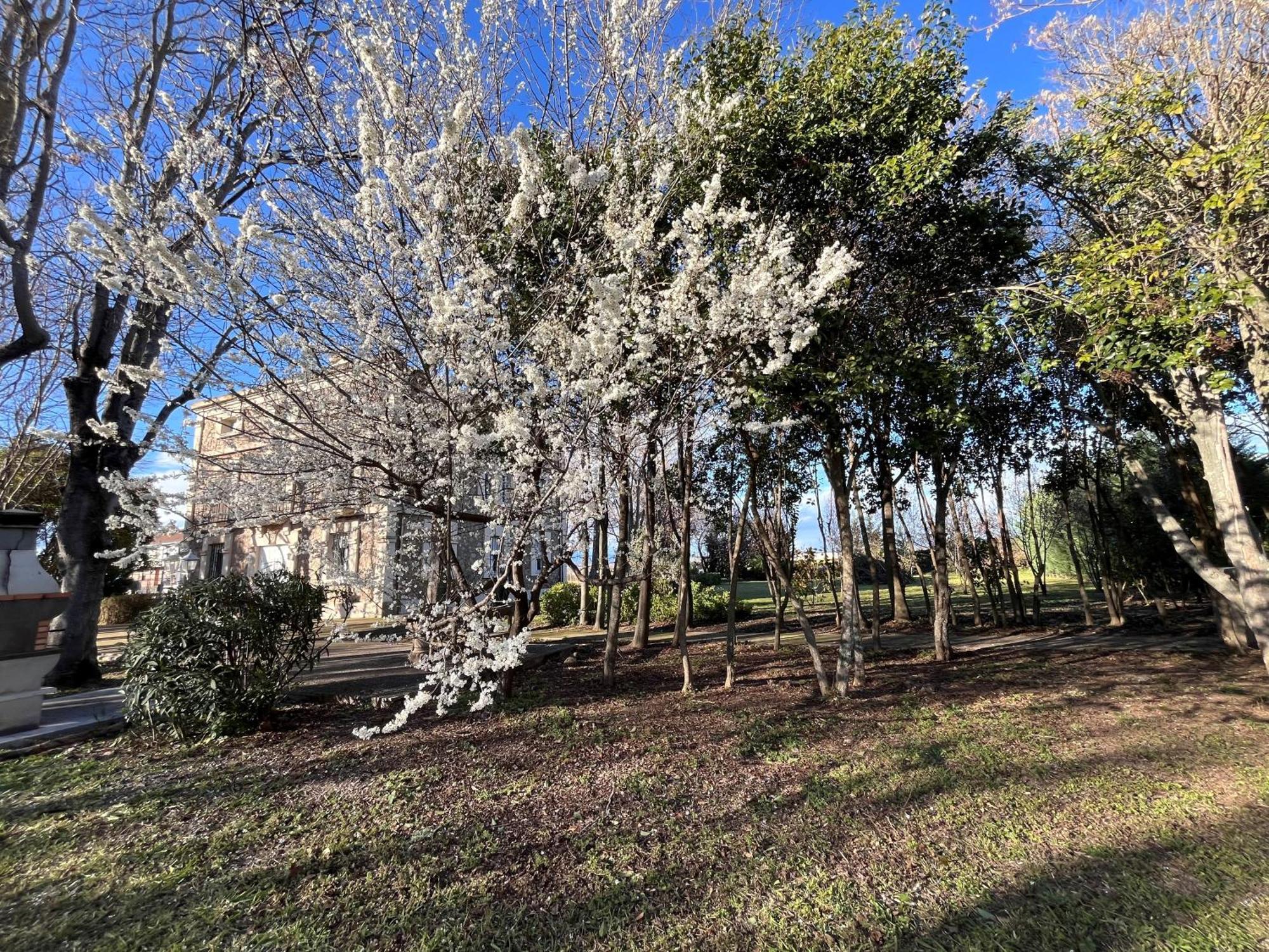 Villa Merenciana Agoncillo Luaran gambar